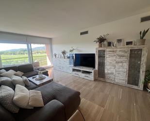 Sala d'estar de Pis en venda en Sant Feliu de Llobregat amb Aire condicionat, Terrassa i Traster