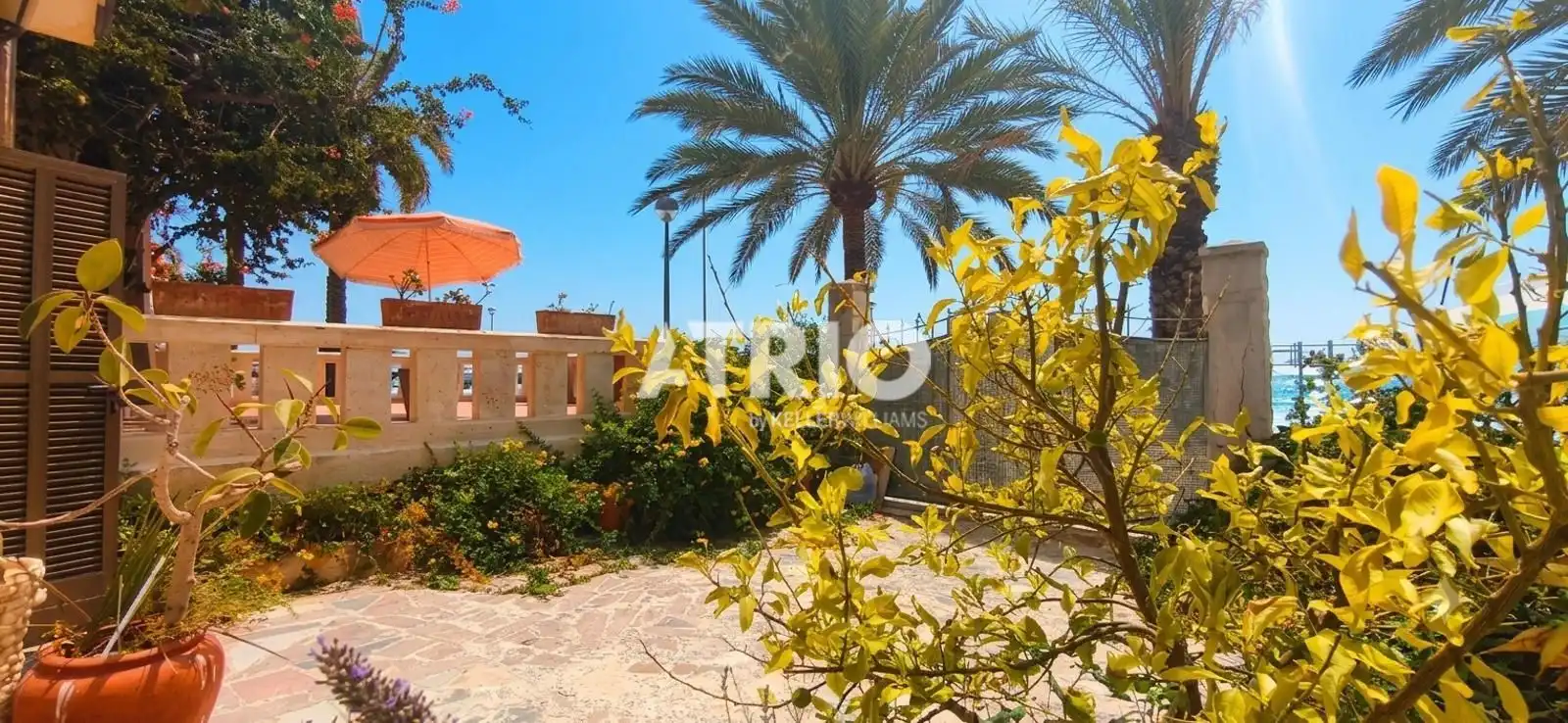 Jardí de Casa o xalet en venda en  Palma de Mallorca amb Aire condicionat i Terrassa