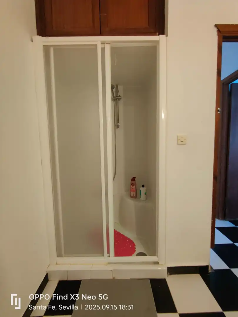 Baño de Casa o chalet en venta en Carmona con Terraza