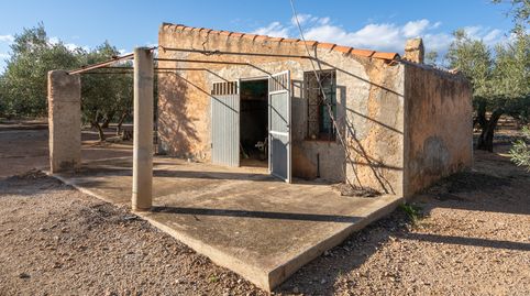 Finca rústica con casa de aperos, pozo propio y balsa de agua, immagine 2