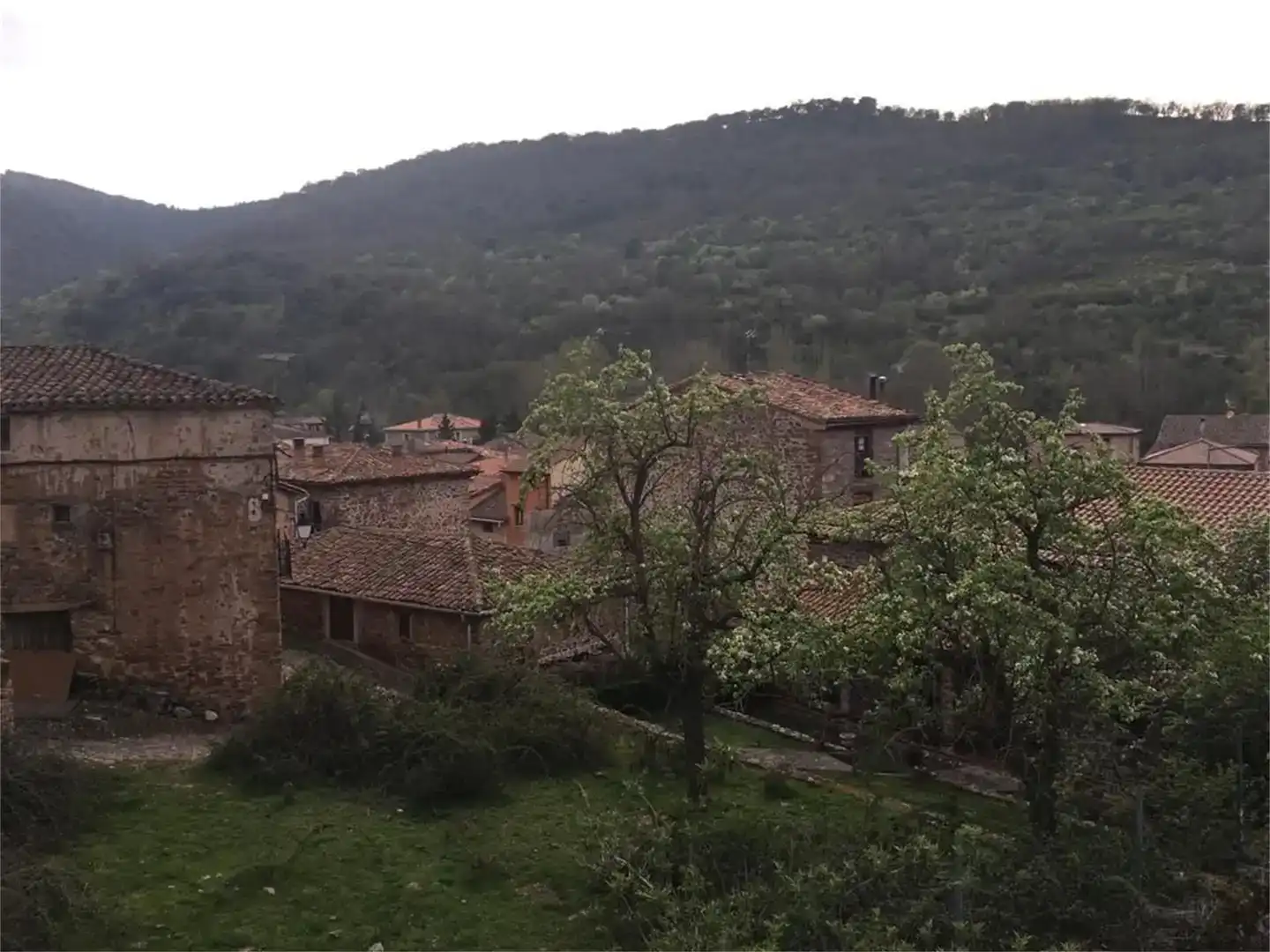 Vista exterior de Terreno en venta en Viniegra de Abajo
