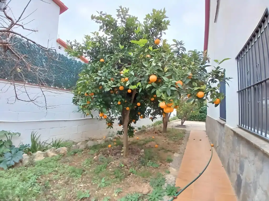 House for sale in Calle Solana, De La, imagen 33