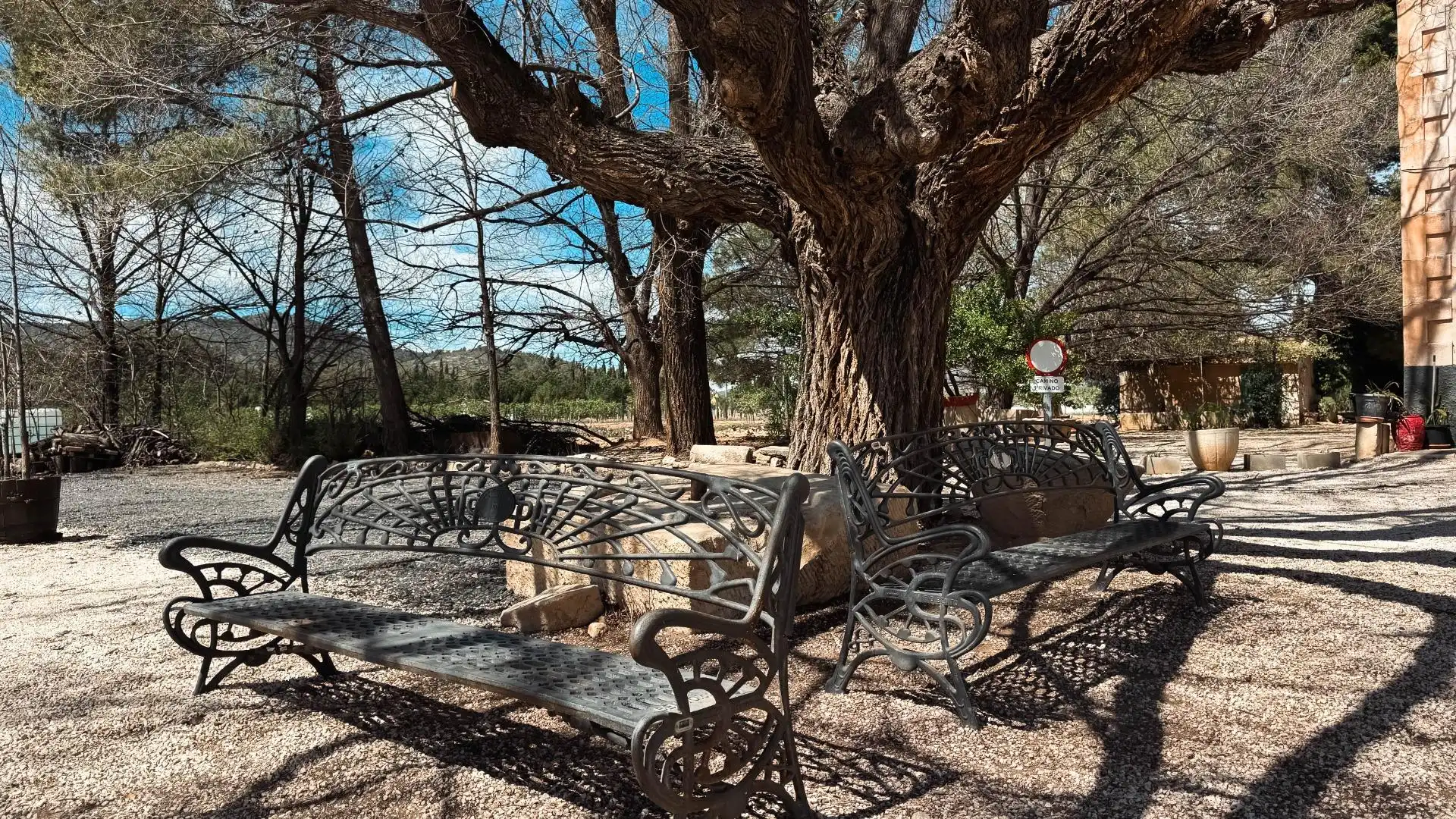 Terrassa de Casa o xalet en venda en Monóvar  / Monòver amb Aire condicionat, Calefacció i Jardí privat