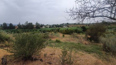 Foto 2 de Finca rústica en venta en Campanillas, Málaga Capital