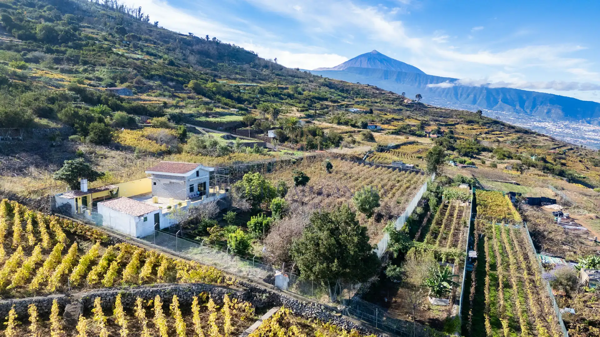 Vista exterior de Finca rústica en venda en Santa Úrsula amb Terrassa