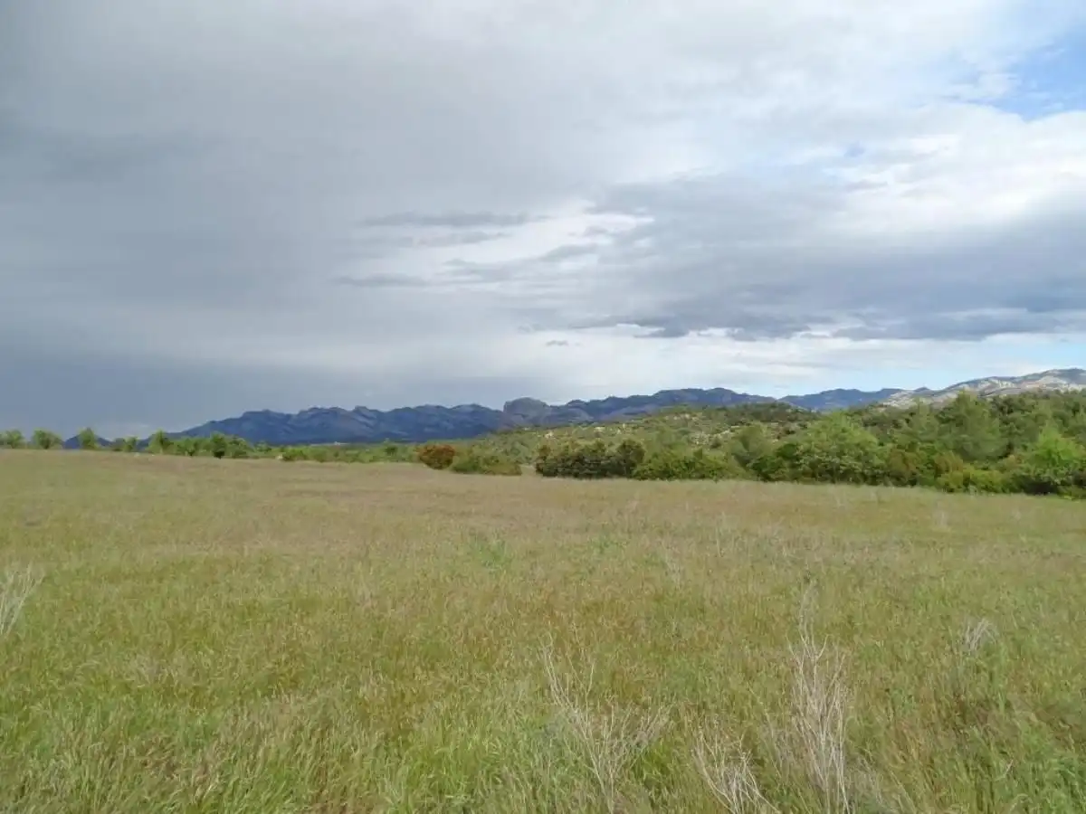 Finca rústica en venta en Cretas