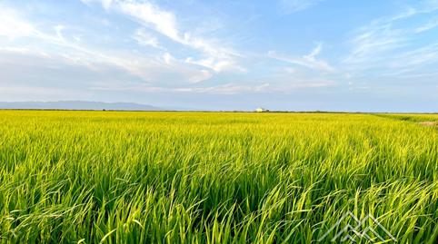 Foto 2 von Country house zum Verkauf in Deltebre, Tarragona