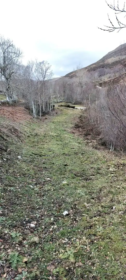 Finca rústica en venda en Espinosa de los Monteros amb Jardí privat