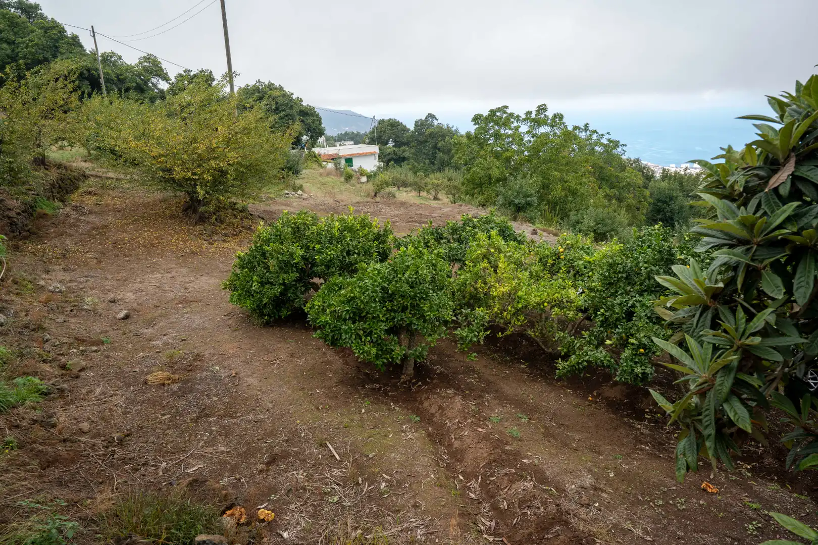 Finca rústica en venta en Calle de El Balayo, La Perdoma - San Antonio - Benijos