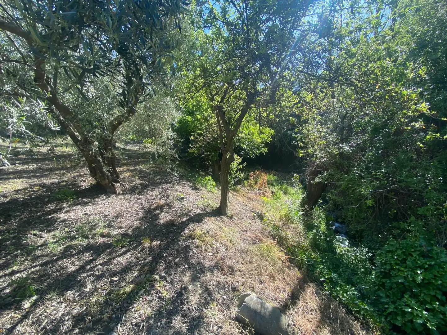 Landhaus mit Garten zum Verkauf in Monachil pueblo, imagen 8