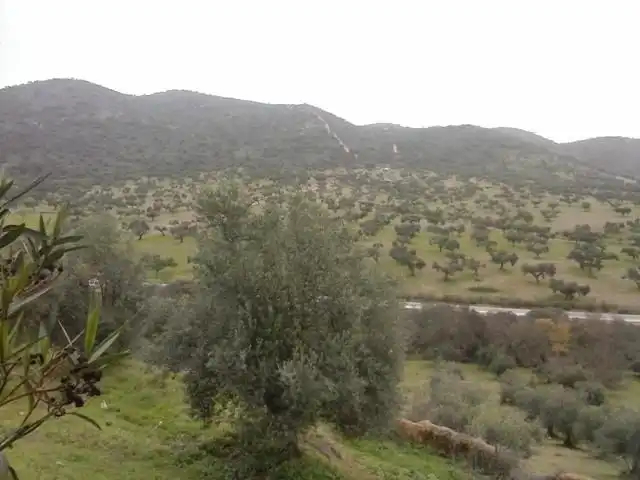 Casa in vendita a Belmez, imagen 5