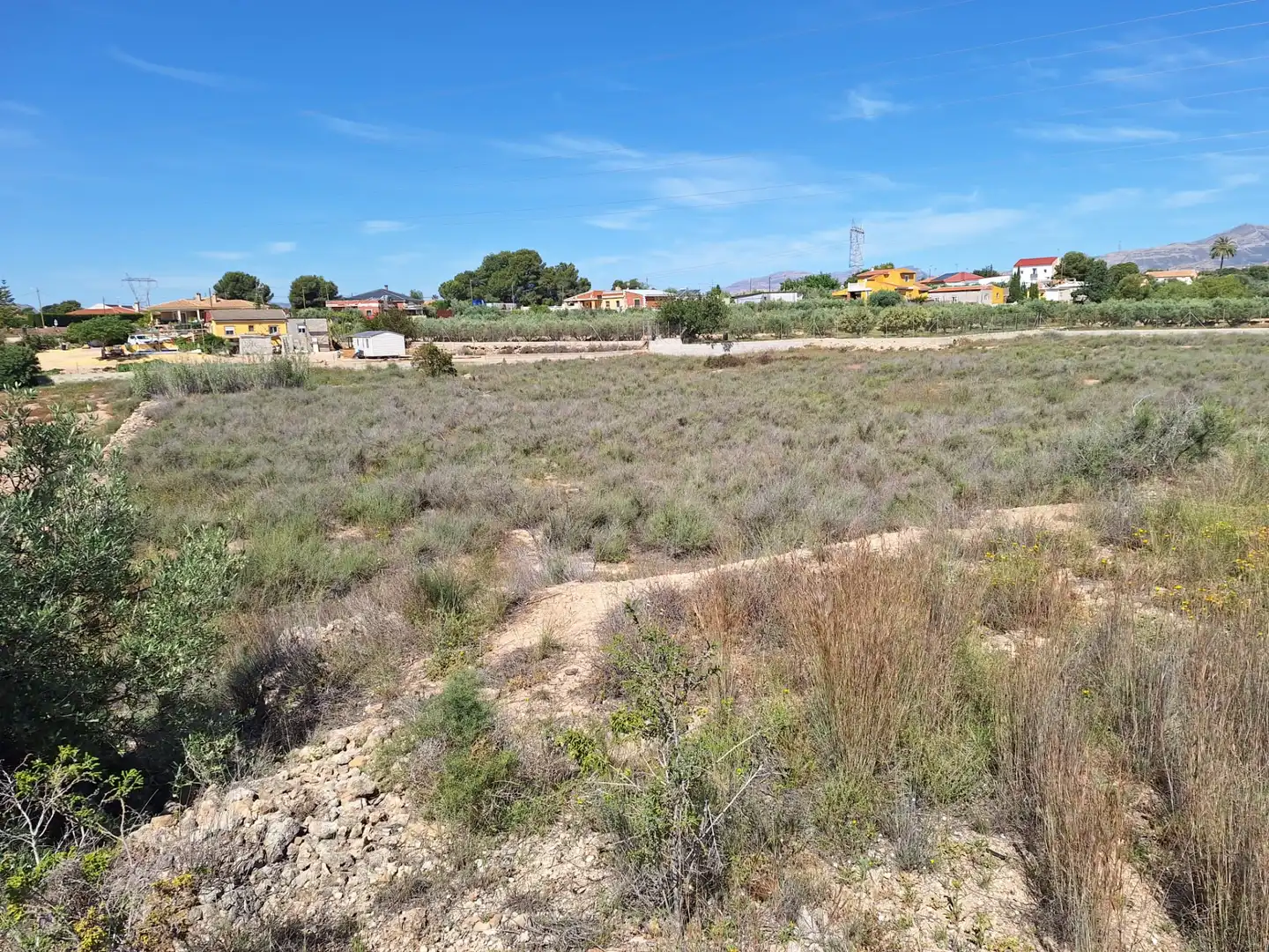 Rural land for sale in Los Girasoles, imagen 3