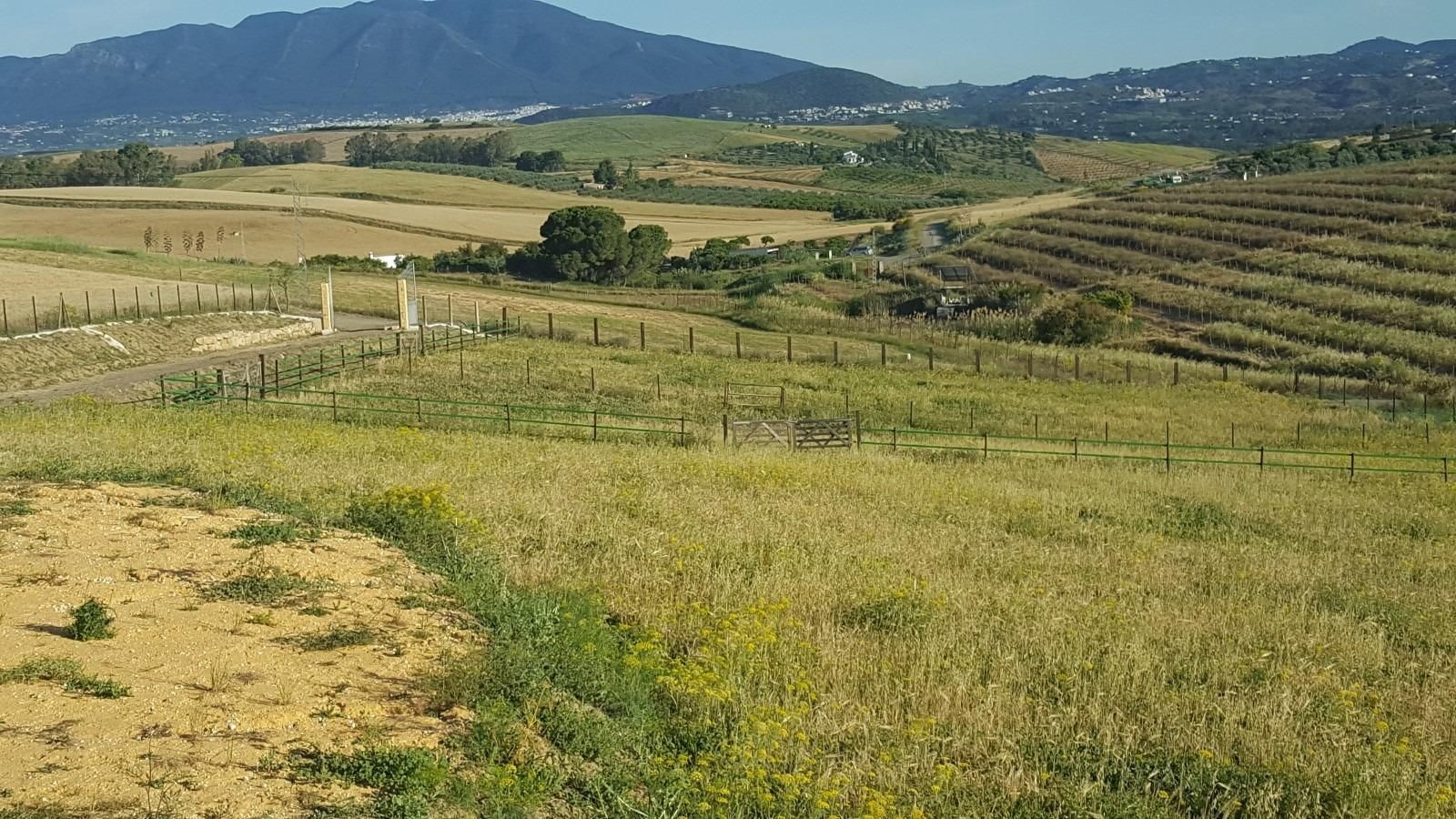 Finca rústica de lloguer amb opció a compra a Coín