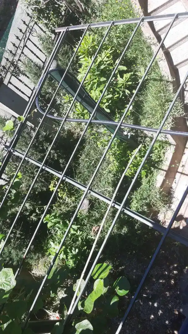Jardí de Casa adosada en venda en As Neves   amb Balcó