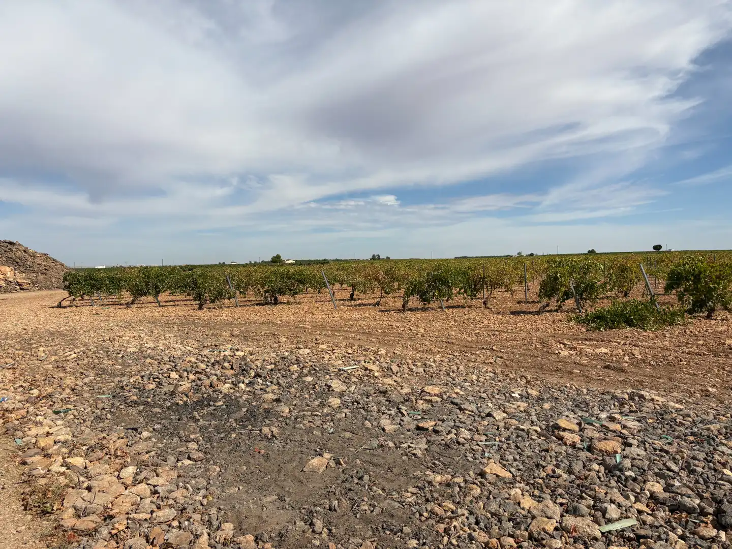 Rural land for sale in CM-400 580, imagen 39