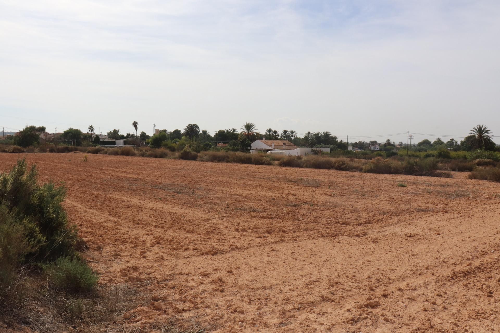 Residential for sale in Elche / Elx