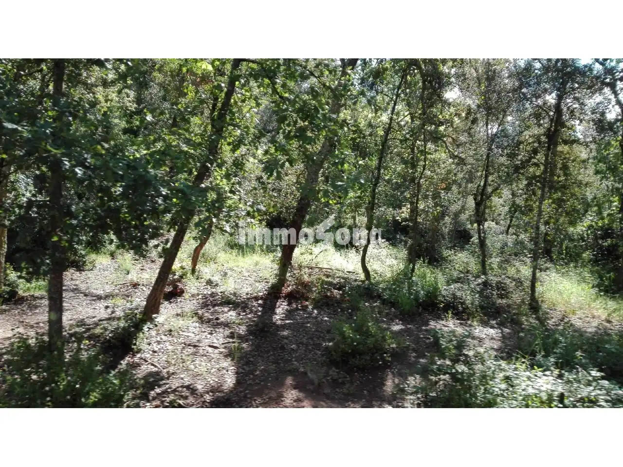 Terreny rústic en venda a Llinars del Vallès, imagen 3