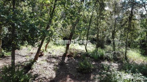 Finca rustica 330 hectareas, imatge 3
