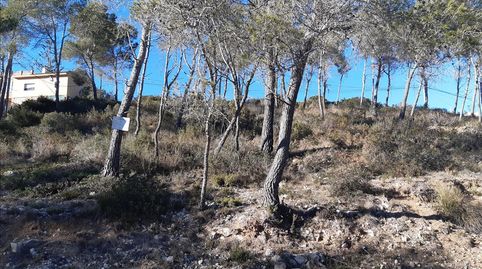Venta de 3 Suelos Urbanos Residenciales en Olivella Barcelona, imatge 4
