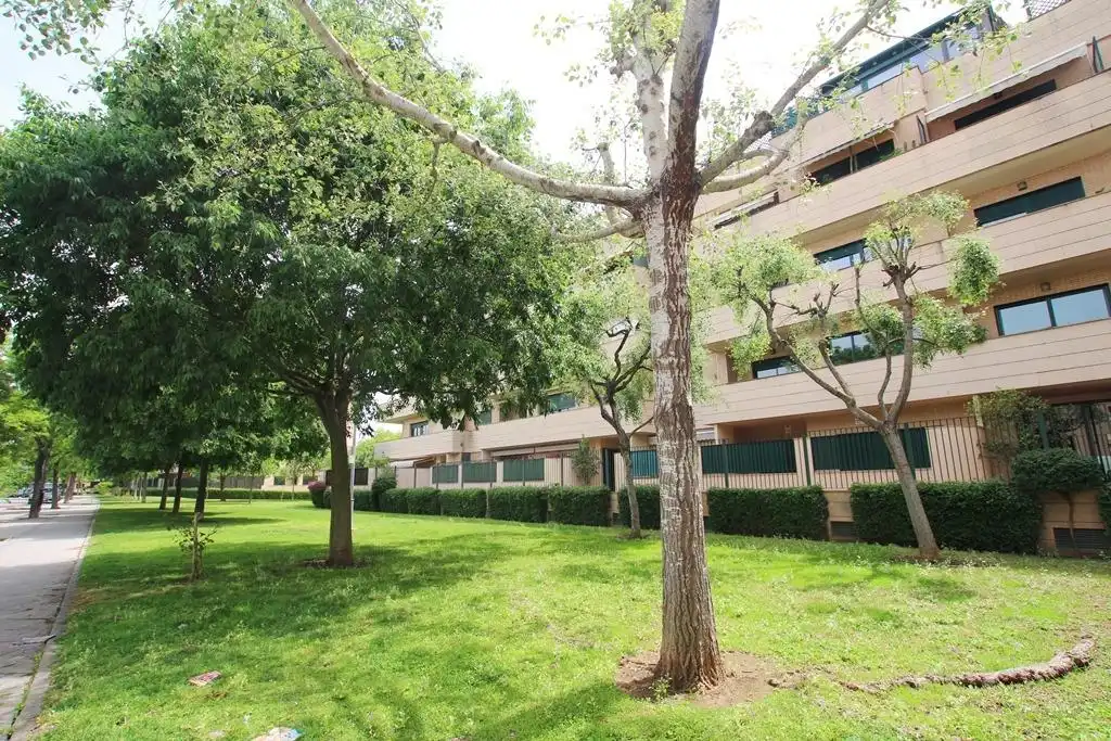 Vista exterior de Piso en venta en Jerez de la Frontera con Aire acondicionado, Calefacción y Parquet