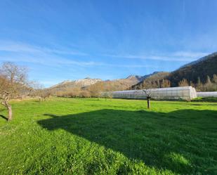 Garten von Grundstücke zum verkauf in Laviana