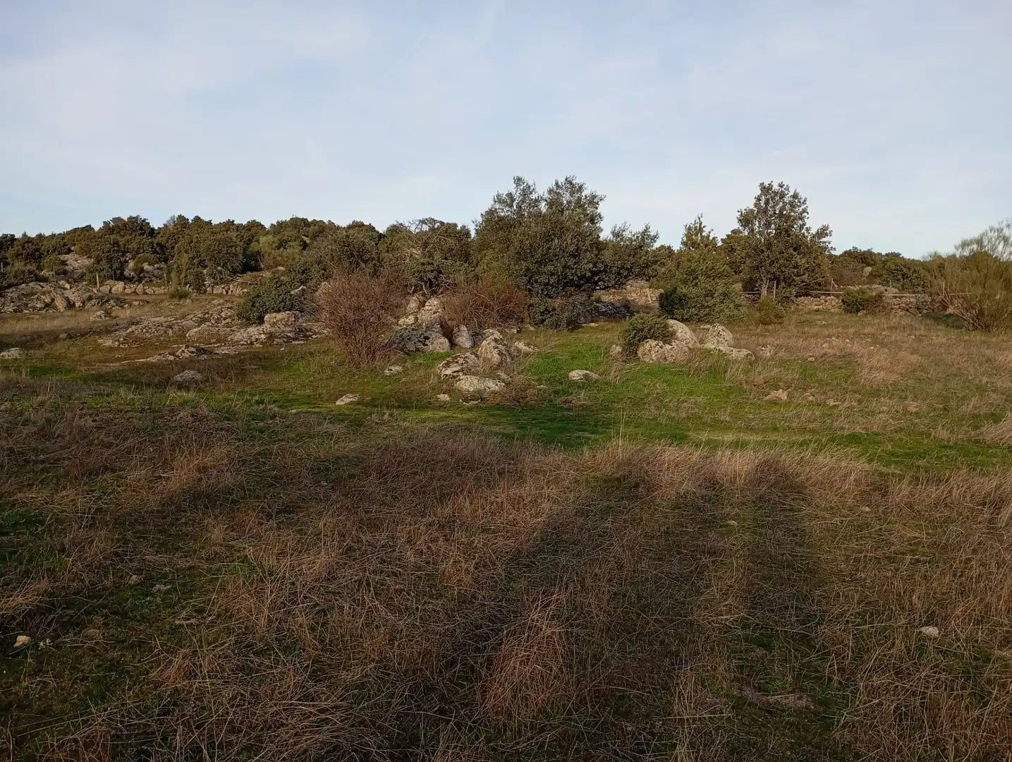 Terreno rustico in vendita a Fresnedillas de la Oliva, imagen 4