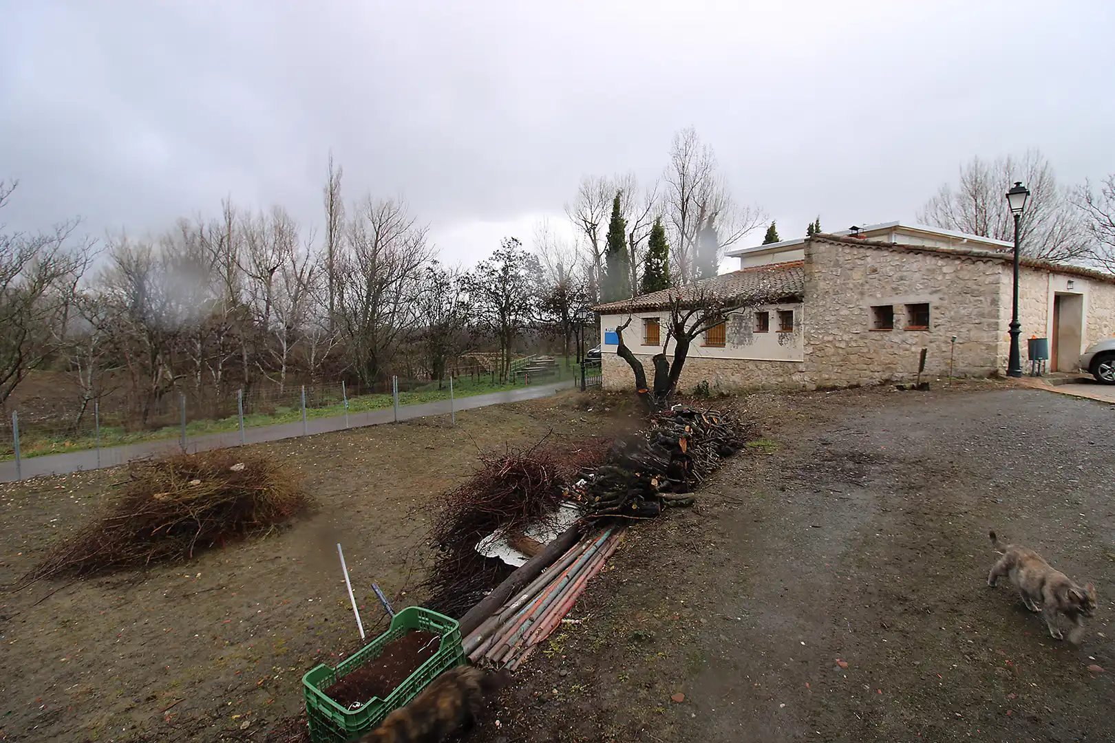 Detached homes for sale in Torremocha de Jarama