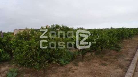 Foto 2 de Finca rústica en venta en Poligono 1 Paraje 48 Les Jovades, Albalat de la Ribera, Valencia