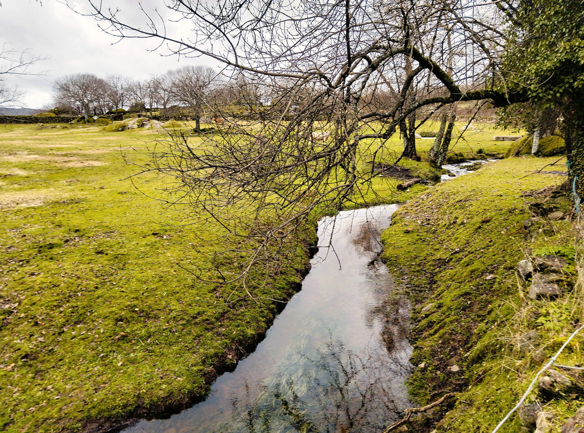 Land for sale in Gargüera