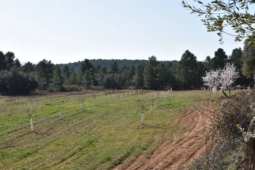 Country homes for sale in La Fresneda
