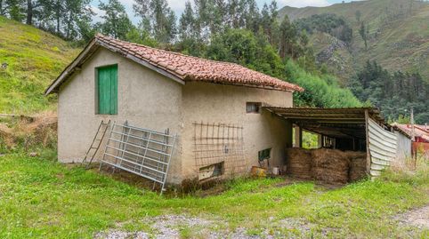 Photo 5 of Houses for sale in Xerra, Piloña, Asturias