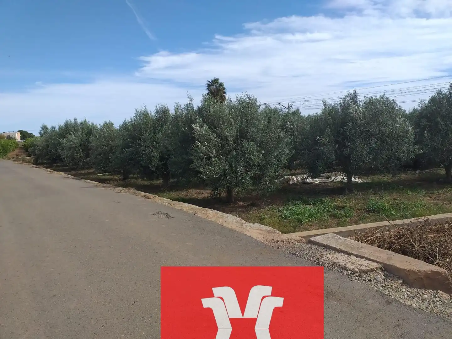 Terreno rústico en venta en Camino Camino Polsana, imagen 3