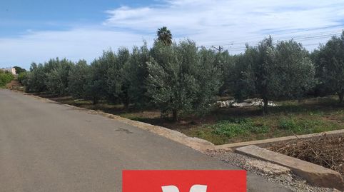 Foto 3 de Terreno en venta en Camino Camino Polsana, Moncada, Valencia
