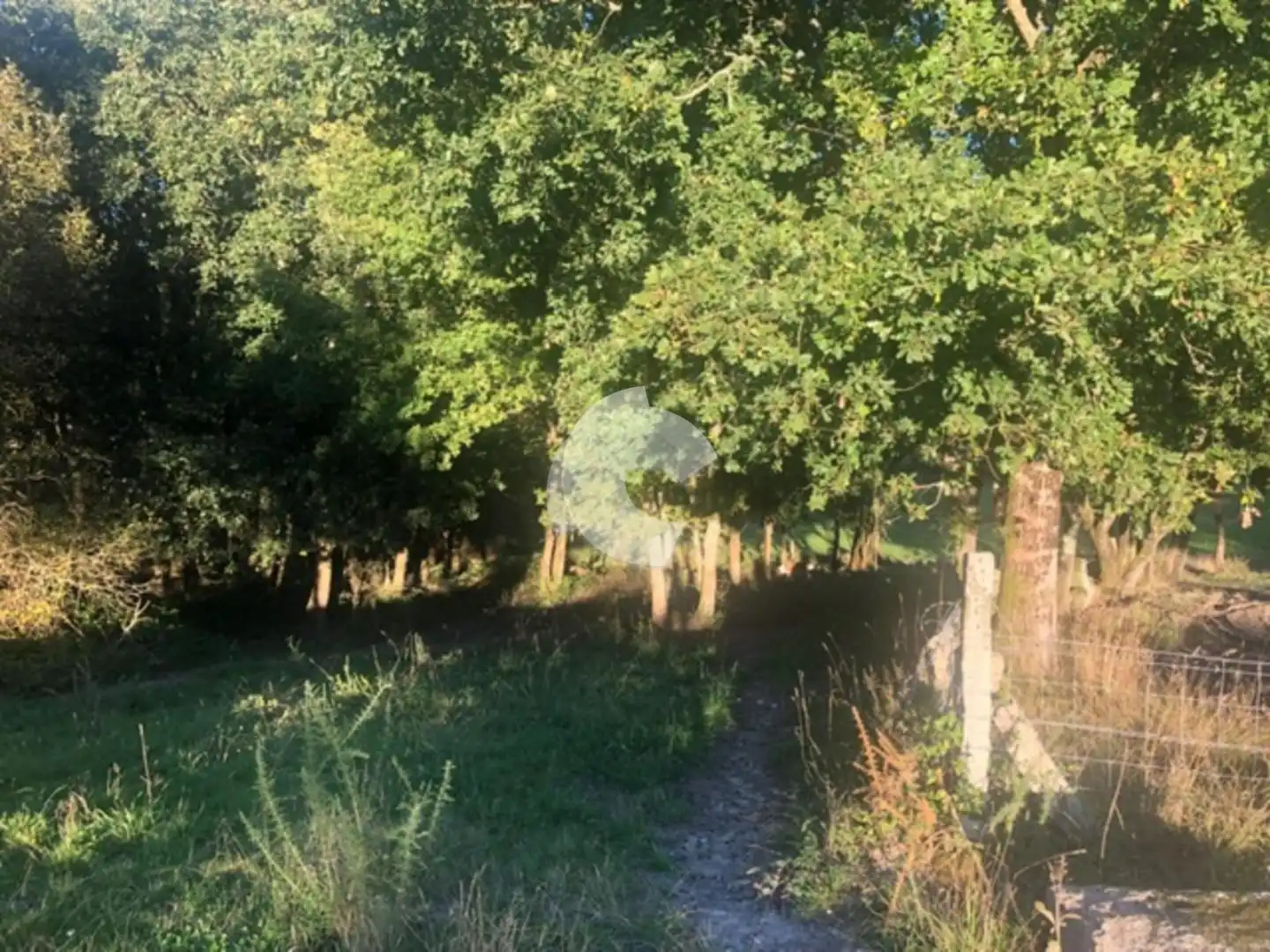 Terreni e lotti in vendita a Nogueira de Ramuín, imagen 31
