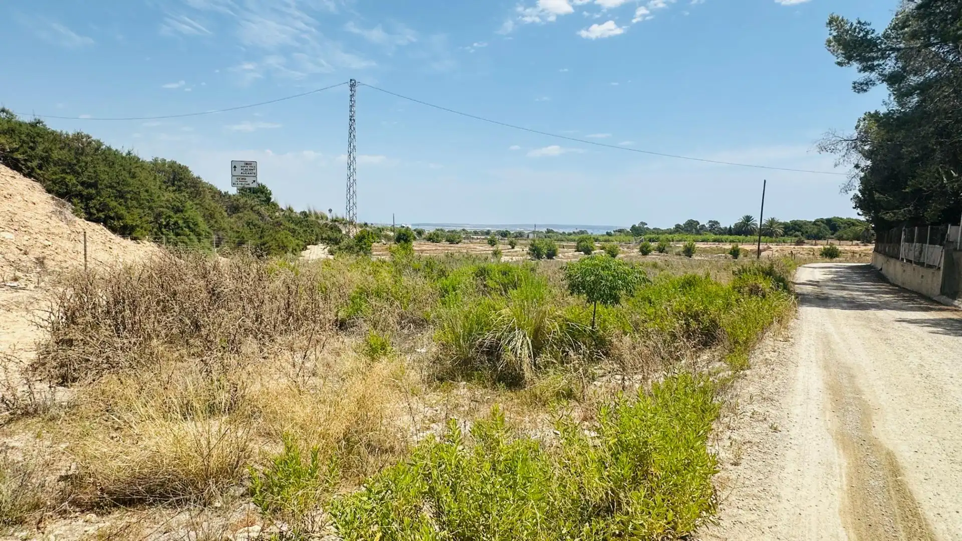 Terrain rustique à vendre à La Marina, imagen 17