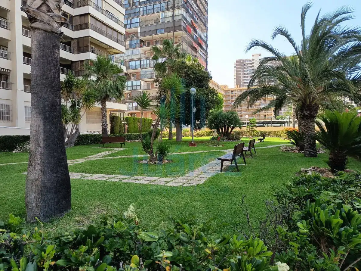 Jardín de Piso de alquiler en Alicante / Alacant con Aire acondicionado, Calefacción y Parquet
