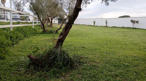 Foto 4 de Casa o chalet en venta en Pedanías Sur, Utrera