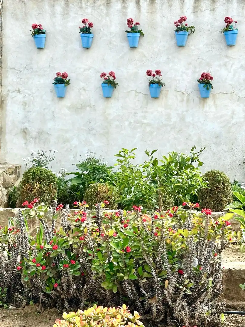 Garden of Flat for rent in Tarifa  with Furnished