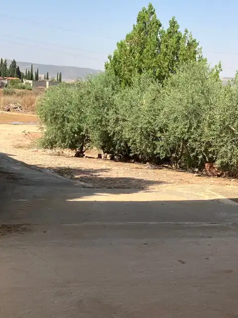 Terreni e lotti in vendita a Partida Poligono 04, imagen 22