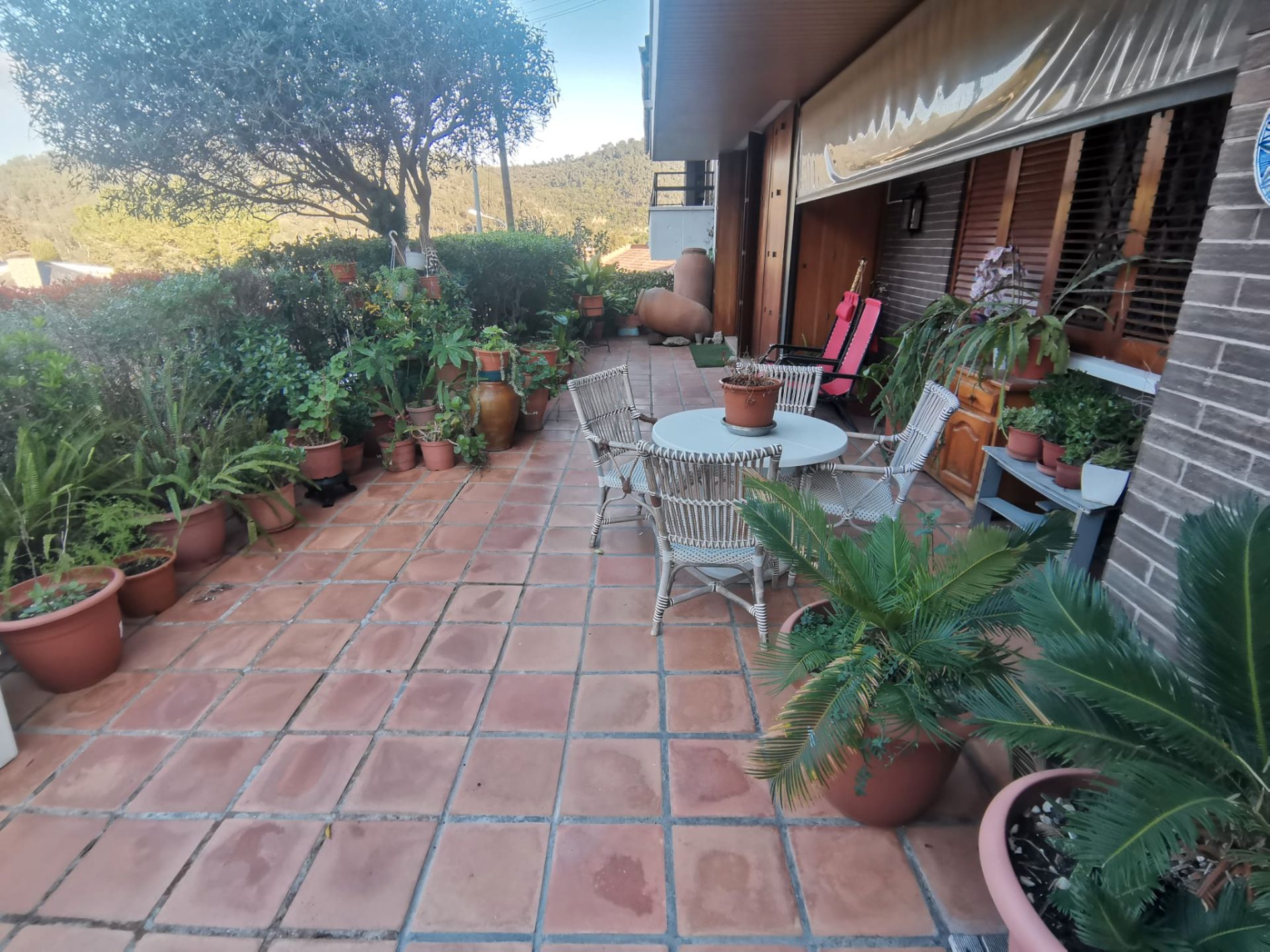 Planta baixa en venda a Torrelles de Llobregat