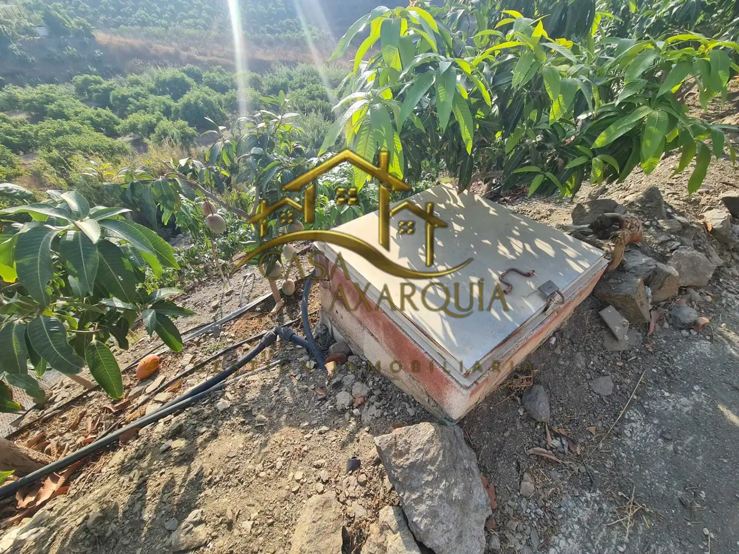 Finca rústica en venda en Vélez-Málaga amb Jardí privat, Terrassa i Piscina
