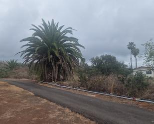 Terreny en venda en Tacoronte