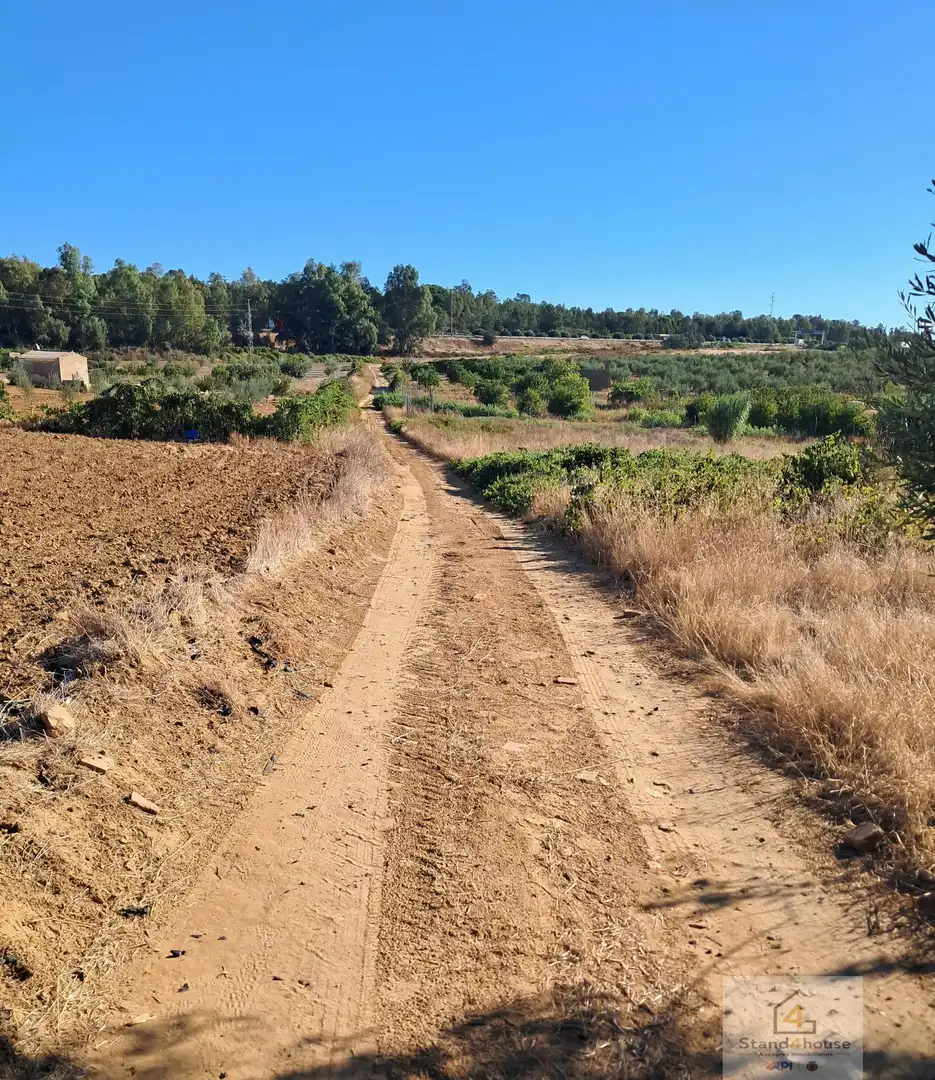 Terrenys i solars en venda a Bollullos Par del Condado, imagen 11