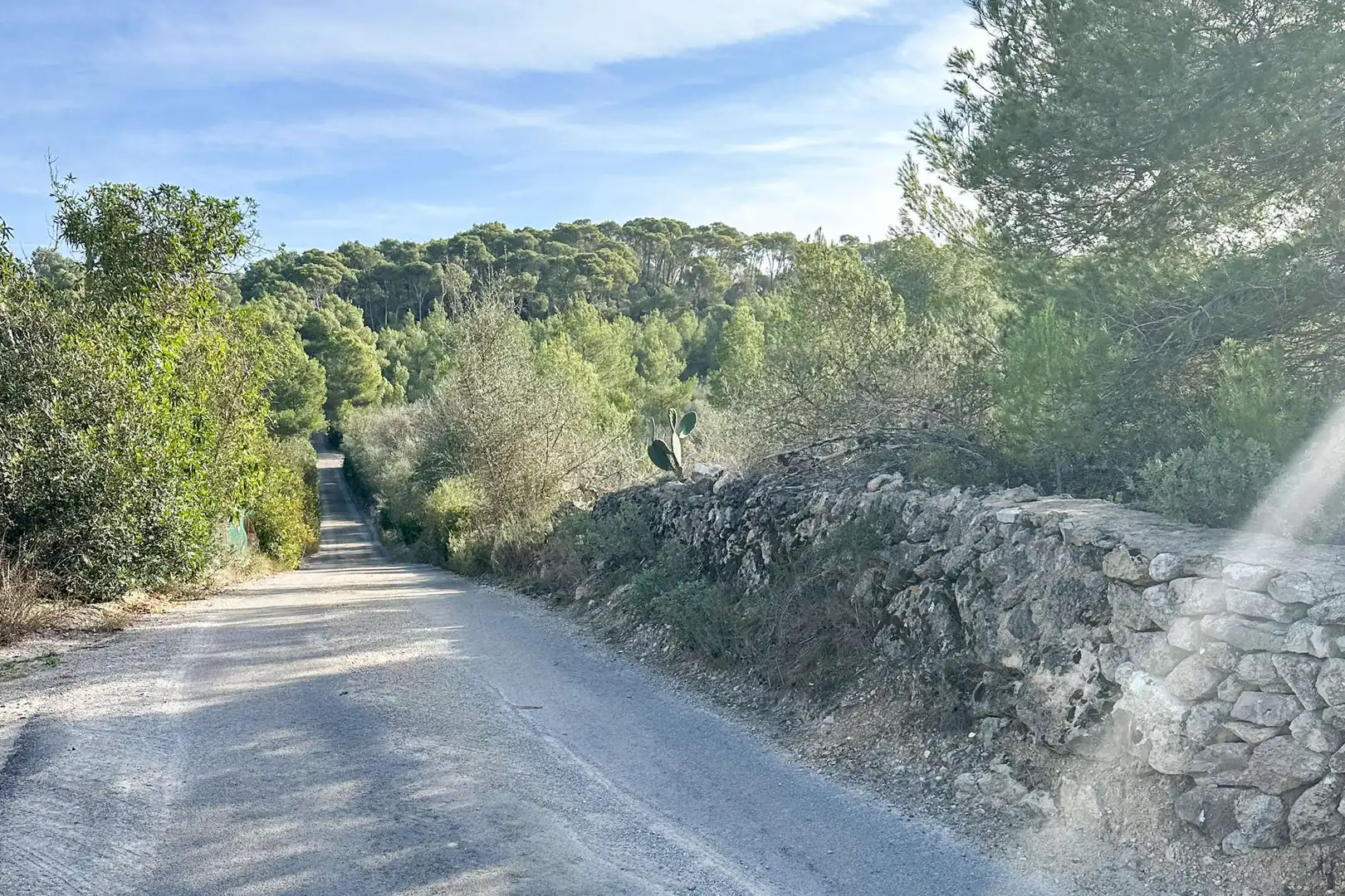 Residential land for sale in Manacor Centre, imagen 8