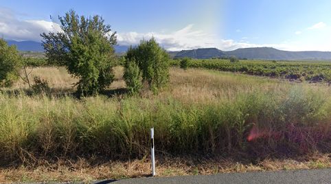 Finca de regadío, imagen 3