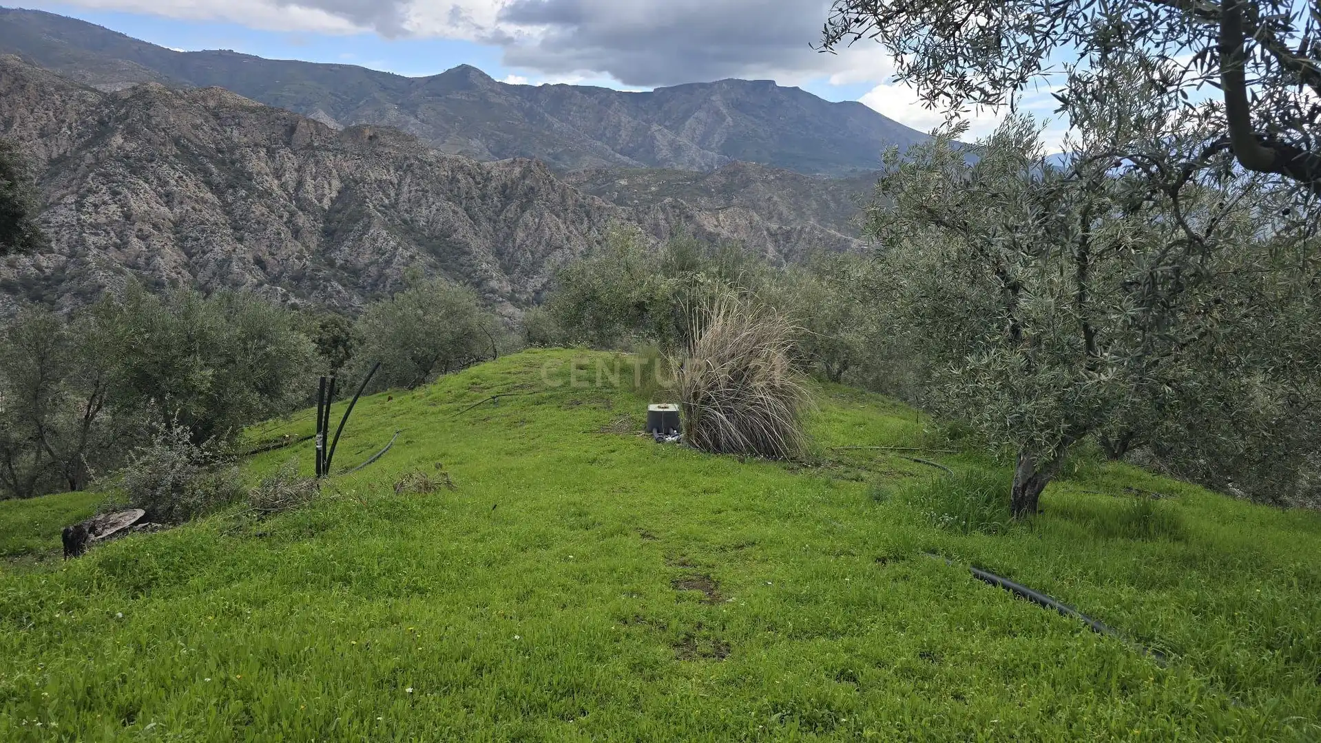 Terreno rustico in vendita a Polígono 11 Parcela 96 EL CERRILLAR. LOS GUAJARES (GRANADA), imagen 11