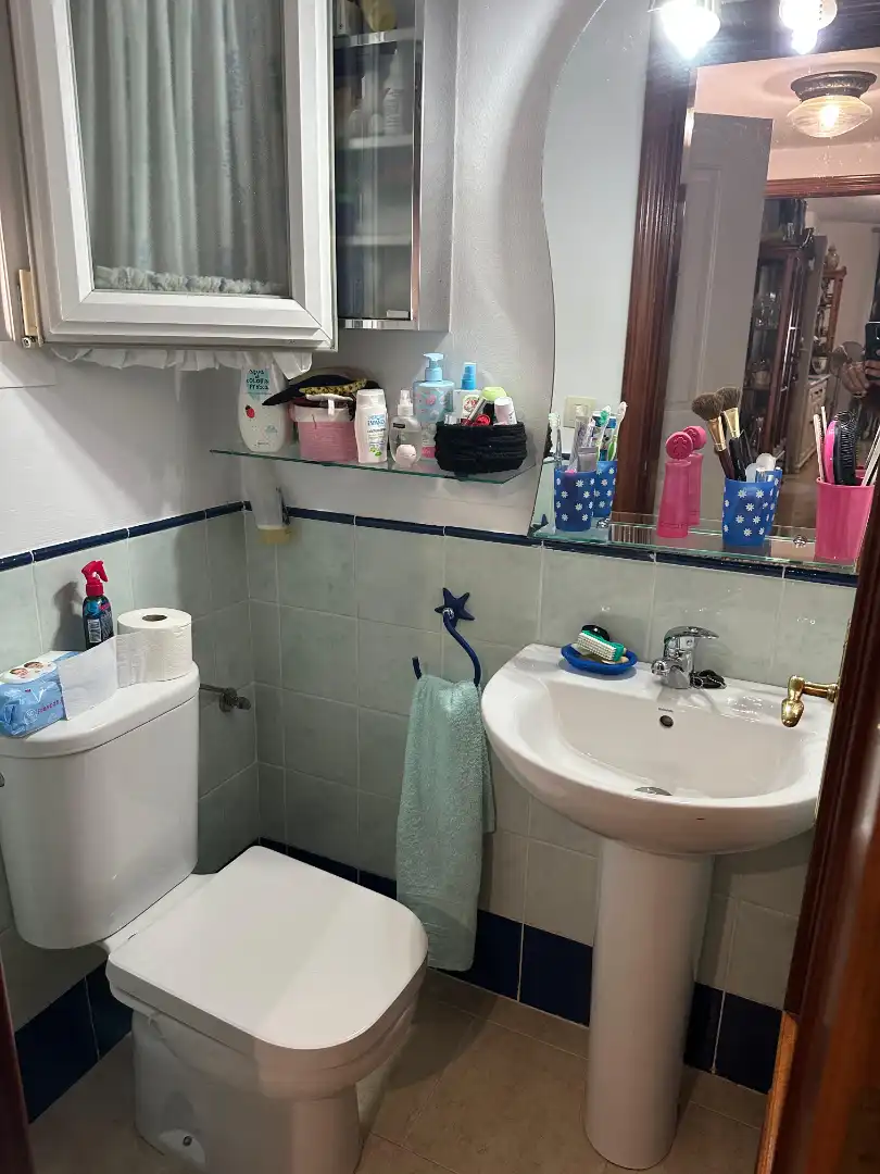Baño de Casa o chalet en venta en Alcalá del Río con Aire acondicionado, Jardín privado y Amueblado