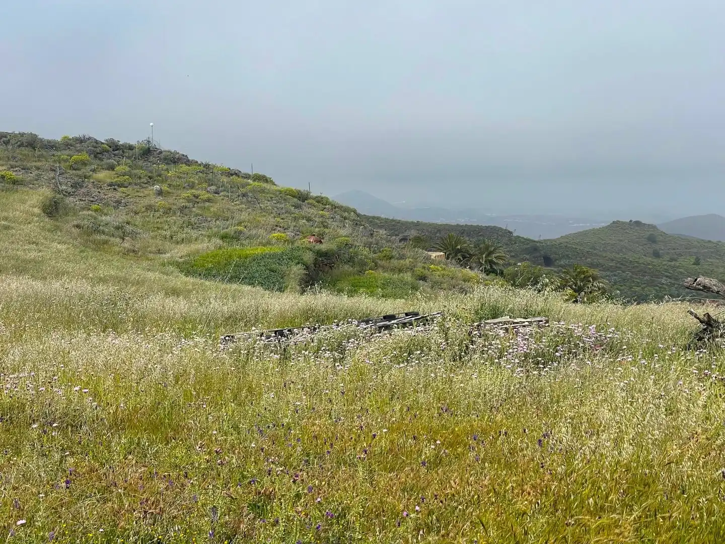 Rural land for sale in LA PASADILLA, imagen 9