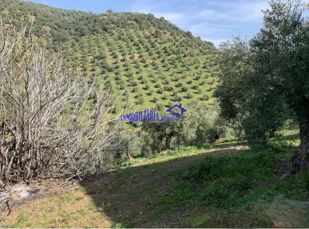 Finca rústica en venda en Adamuz