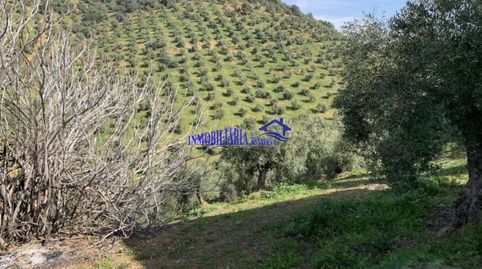 Foto 3 de Finca rústica en venda a Adamuz, Córdoba